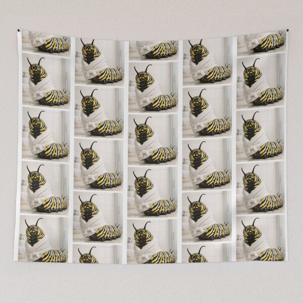 Item preview, Cozy Bathrobe Monarch Caterpillar designed and sold by Sillytoe.