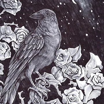 Artwork thumbnail, Raven Roses by Dawn Paws