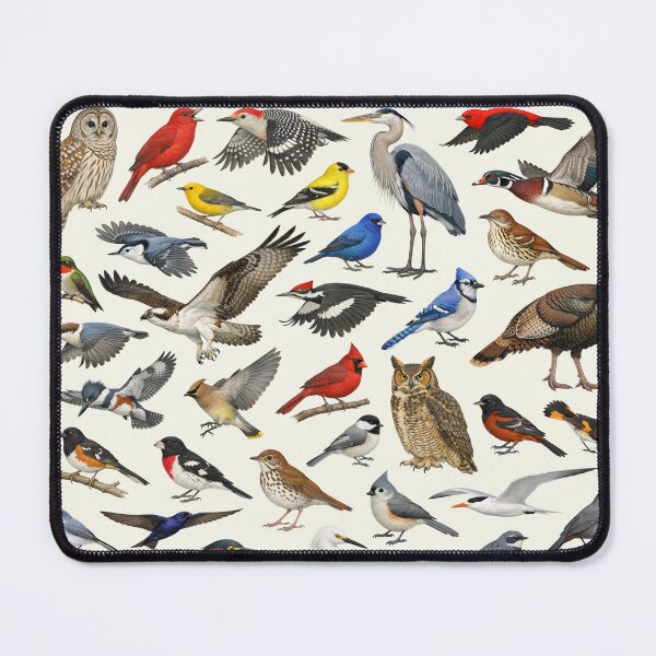 Item preview,  Native Birds of Georgia Retro Style Identification Chart designed and sold by kakarikihill.