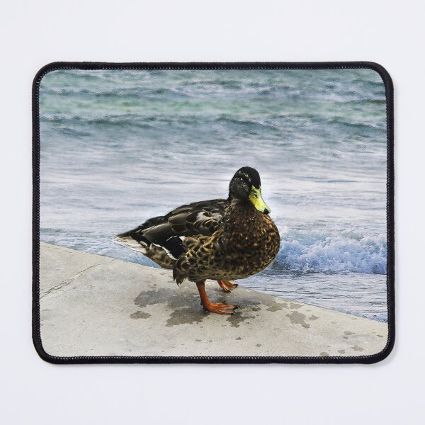 Item preview, I'm All Wet! designed and sold by heatherfriedman.