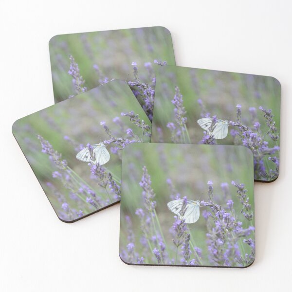 Item preview, Cabbage White Butterfly Resting on French Lavender Field Stalk designed and sold by MiraNadaPrints.