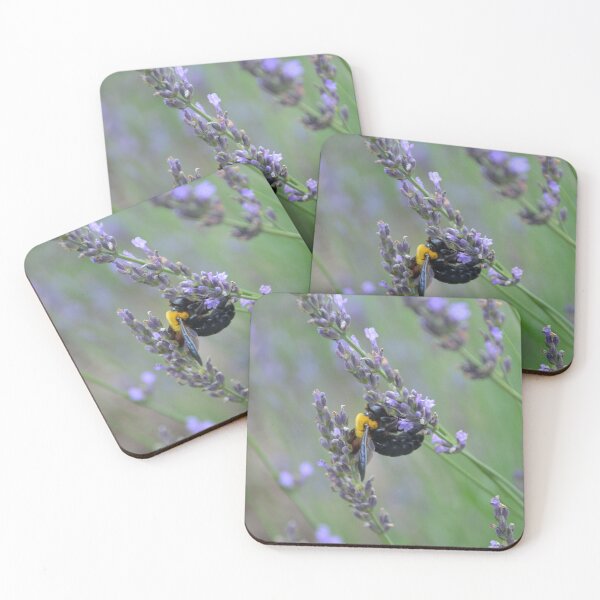 Item preview, Carpenter Bee Foraging on Purple French Lavender Flower Stalk designed and sold by MiraNadaPrints.