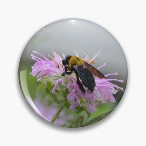Item preview, Carpenter Bee Pollinating Pink Purple Bee Balm Monarda Flower designed and sold by MiraNadaPrints.