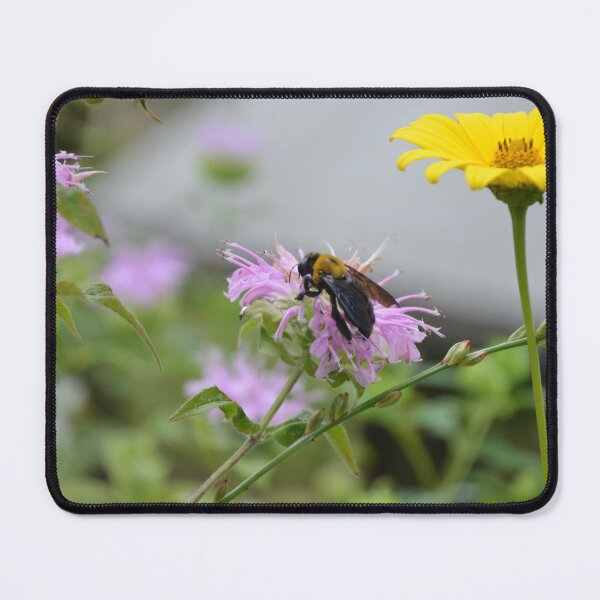 Item preview, Carpenter Bee Pollinating Pink Purple Bee Balm Monarda Flower designed and sold by MiraNadaPrints.
