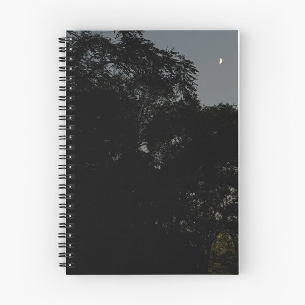 Item preview, The Moon Lights a Path on a Theater Walk designed and sold by bloomingvine.