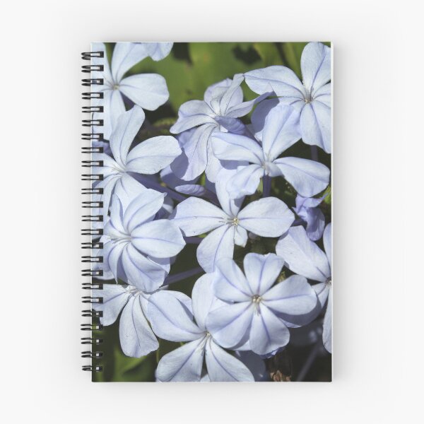 Item preview, Soft Blue Plumbago Floral Close Up designed and sold by 27Tammy27.