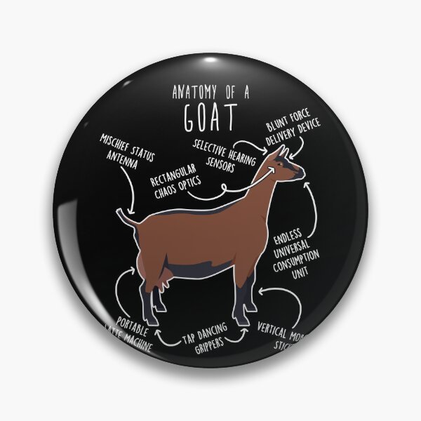Item preview, Oberhasli Goat Anatomy designed and sold by Clara Hollins.
