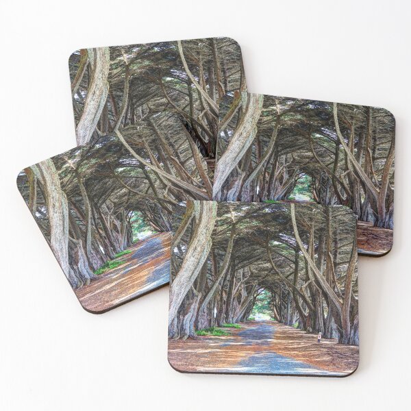 Item preview, Archway of Trees at Portsea designed and sold by Blackadder Photography.
