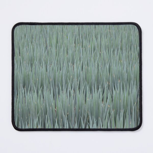 Item preview, Dense Field of Blue Green Allium Stalks designed and sold by MiraNadaPrints.