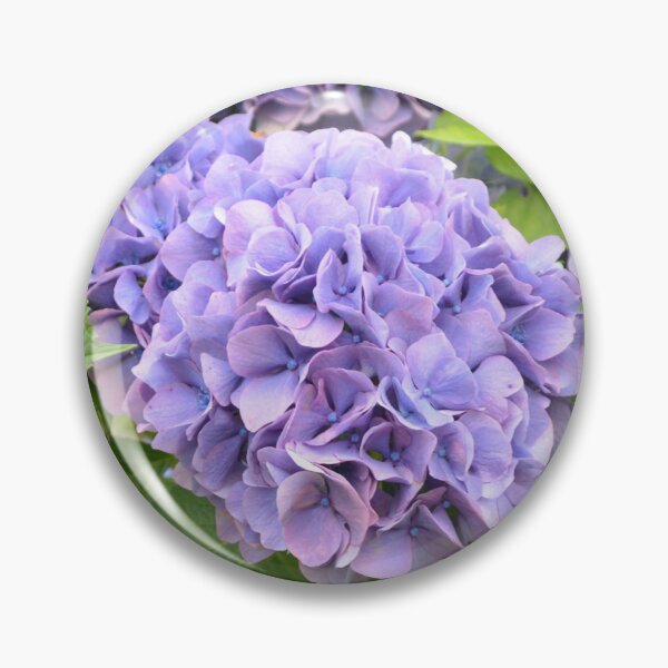 Item preview, Lush Purple Hydrangea Bush in Full Summer Bloom designed and sold by MiraNadaPrints.