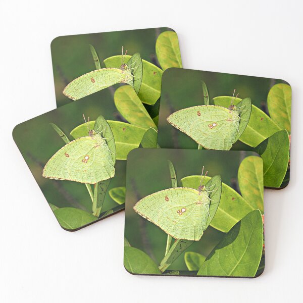 Item preview, Green Emigrant Butterfly designed and sold by Linda Walsh.