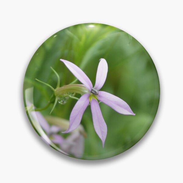 Item preview, Delicate Purple Laurentia Isotoma Blue Star Flowers in Summer Garden designed and sold by MiraNadaPrints.