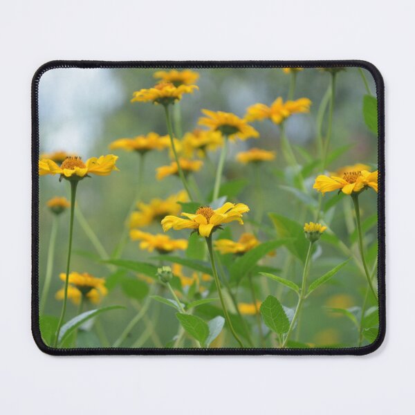Item preview, Bright Yellow Heliopsis Oxeye Sunflowers in a Wild Summer Meadow designed and sold by MiraNadaPrints.