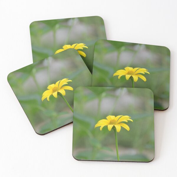 Item preview, Single Yellow Heliopsis Oxeye Sunflower on Slender Green Stem designed and sold by MiraNadaPrints.