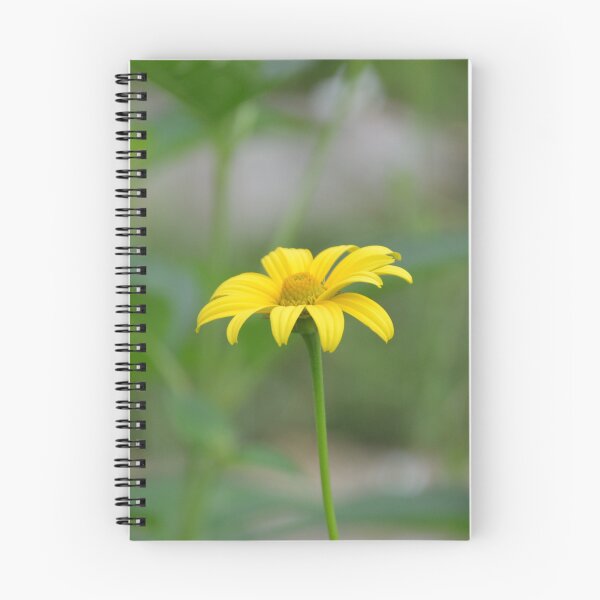 Item preview, Single Yellow Heliopsis Oxeye Sunflower on Slender Green Stem designed and sold by MiraNadaPrints.