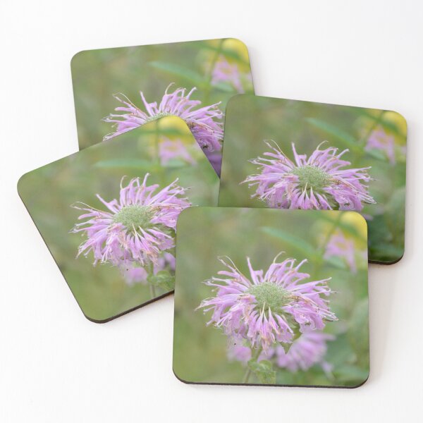 Item preview, Purple Wild Bergamot Monarda Flower Close Up designed and sold by MiraNadaPrints.