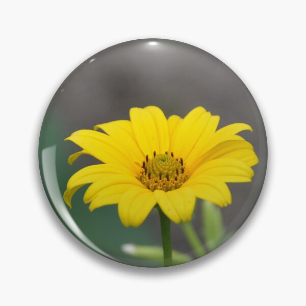 Item preview, Single Golden Heliopsis Sunflower Bloom designed and sold by MiraNadaPrints.