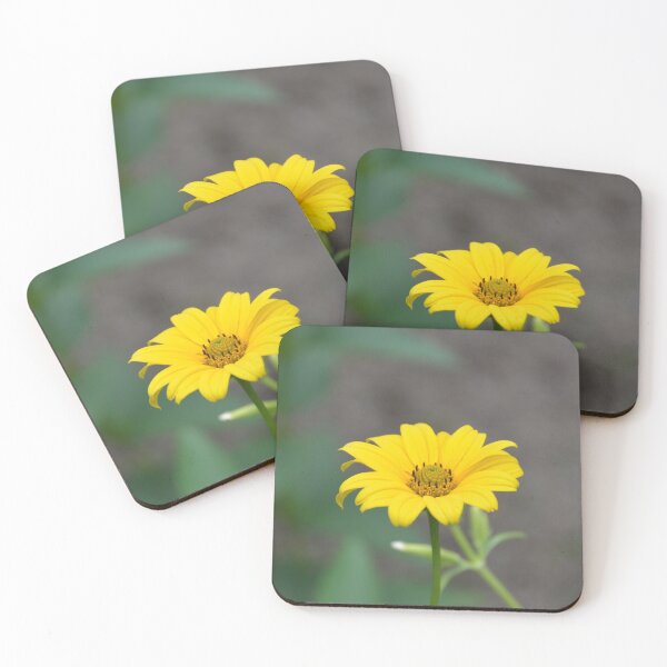 Item preview, Single Golden Heliopsis Sunflower Bloom designed and sold by MiraNadaPrints.