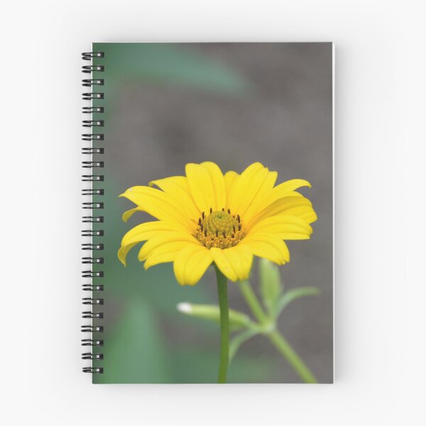 Item preview, Single Golden Heliopsis Sunflower Bloom designed and sold by MiraNadaPrints.
