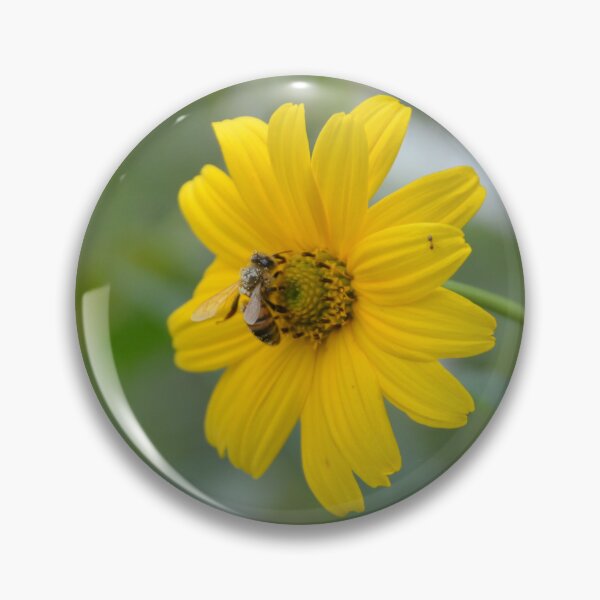 Item preview, Honeybee Gathering Pollen on Heliopsis Sunflower designed and sold by MiraNadaPrints.