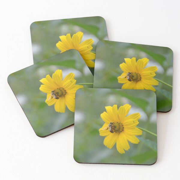 Item preview, Honeybee Gathering Pollen on Heliopsis Sunflower designed and sold by MiraNadaPrints.