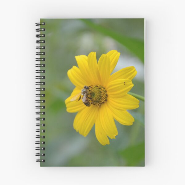Item preview, Honeybee Gathering Pollen on Heliopsis Sunflower designed and sold by MiraNadaPrints.
