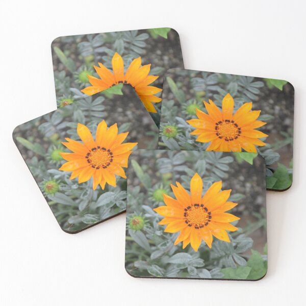 Item preview, Vibrant Orange Gazania Treasure Flower Bloom designed and sold by MiraNadaPrints.