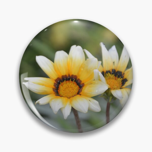 Item preview, White and Yellow Gazania Treasure Flowers designed and sold by MiraNadaPrints.