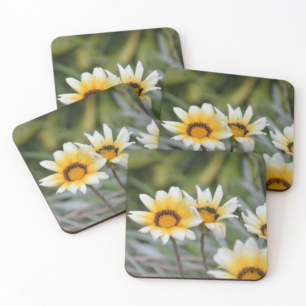 Item preview, White and Yellow Gazania Treasure Flowers designed and sold by MiraNadaPrints.