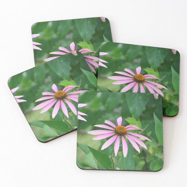 Item preview, Pink Echinacea Coneflower Blooms in Summer designed and sold by MiraNadaPrints.