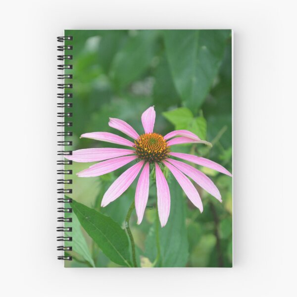 Item preview, Pink Echinacea Coneflower Blooms in Summer designed and sold by MiraNadaPrints.