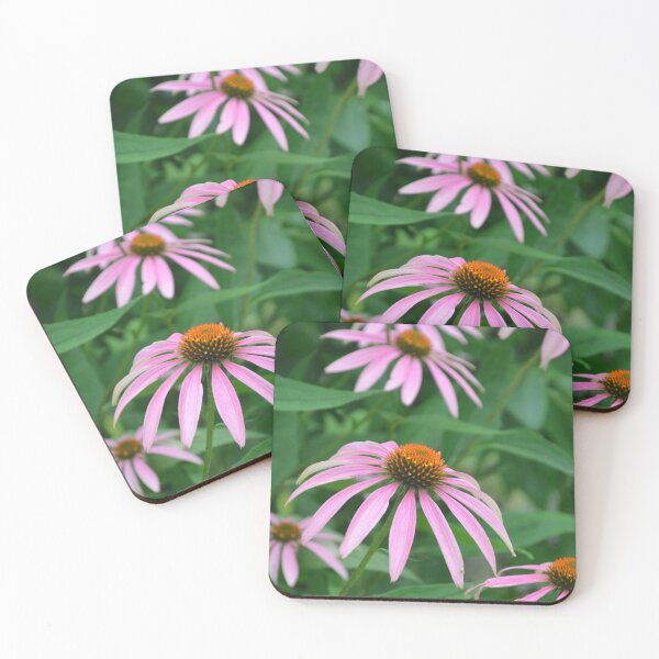 Item preview, Group of Pink Echinacea Coneflower Blooms designed and sold by MiraNadaPrints.