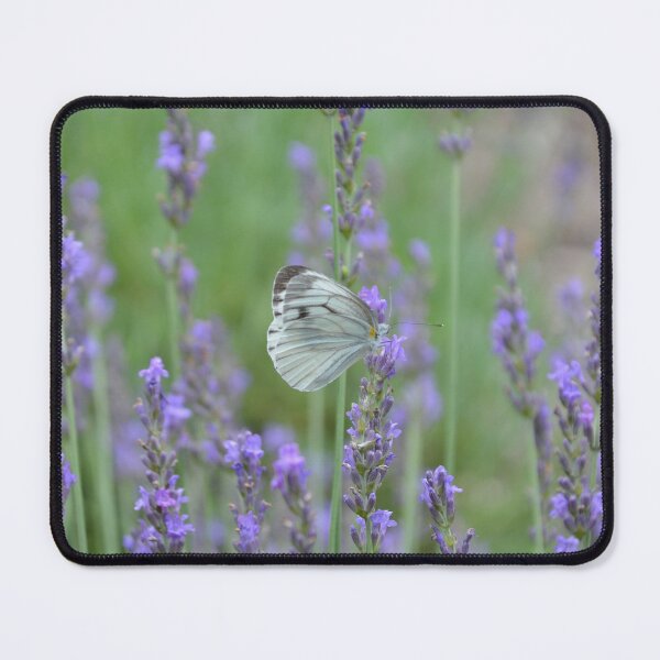 Item preview, White Cabbage Butterfly in Purple Lavender Field designed and sold by MiraNadaPrints.