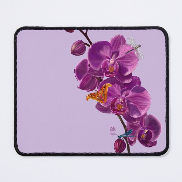 Item preview, Orchids beauty designed and sold by Vivinedrawsells.