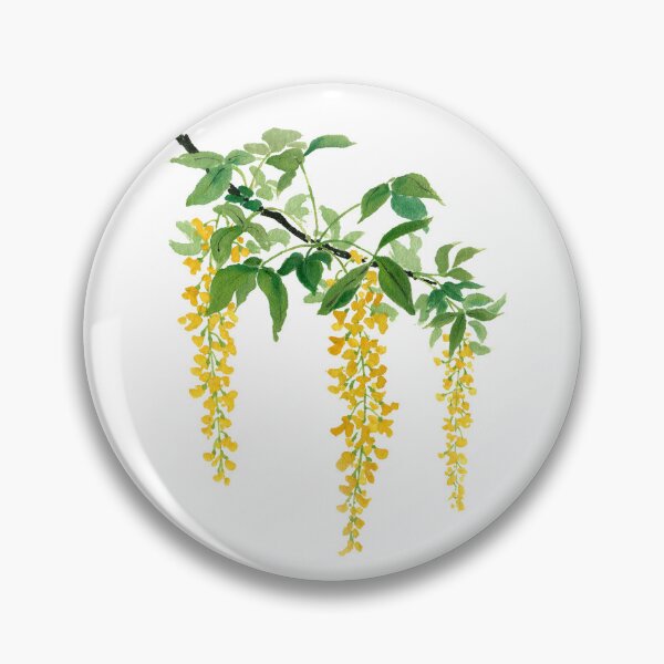 Item preview, April 30th birthday flower Laburnum designed and sold by 366birthflower.