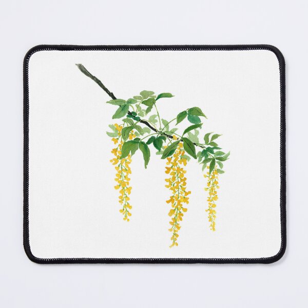 Item preview, April 30th birthday flower Laburnum designed and sold by birthflower.