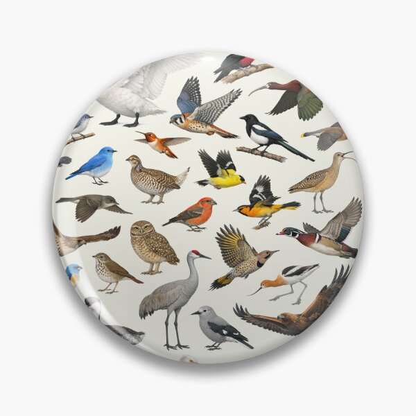 Item preview, Native Birds of Idaho Retro Style Identification Chart designed and sold by kakarikihill.