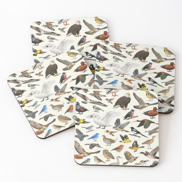 Item preview, Native Birds of Idaho Retro Style Identification Chart designed and sold by kakarikihill.