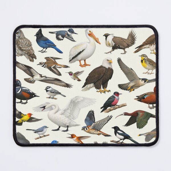 Item preview, Native Birds of Idaho Retro Style Identification Chart designed and sold by kakarikihill.