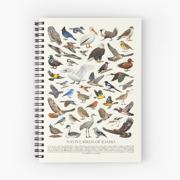 Item preview, Native Birds of Idaho Retro Style Identification Chart designed and sold by kakarikihill.