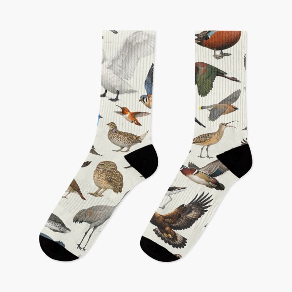 Item preview, Native Birds of Idaho Retro Style Identification Chart designed and sold by kakarikihill.