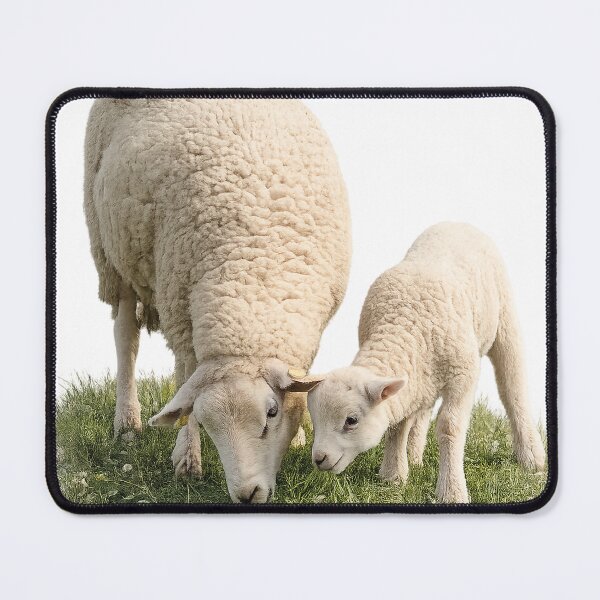 Item preview, Mother Sheep and Lamb Realistic Farm Animal T-Shirt designed and sold by BhavyaMR.