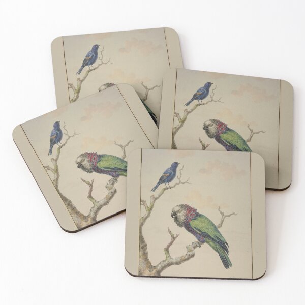 Item preview, A Green Parrot with a Red Ruff and a Blue Raven by Jabes Heenck designed and sold by Amanda1775.