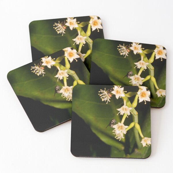 Item preview, Terminalia catappa tree designed and sold by ROSE ANN BANILAR.