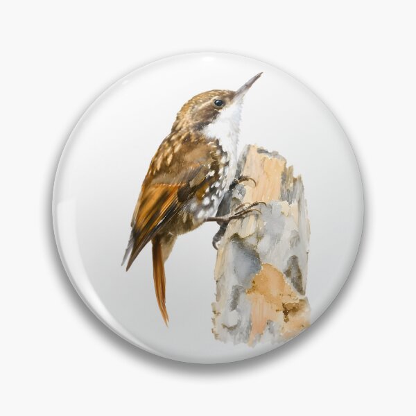 Item preview, White-throated Treerunner (Pygarrhichas albogularis) designed and sold by HOMETOWN86.