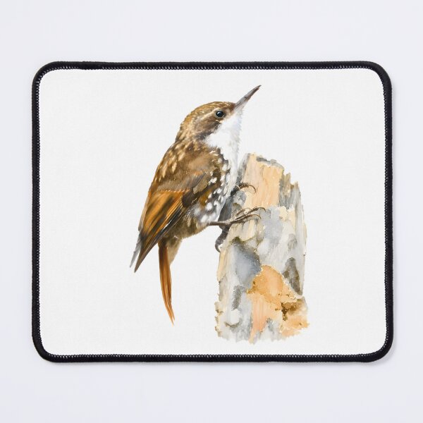 Item preview, White-throated Treerunner (Pygarrhichas albogularis) designed and sold by HOMETOWN86.