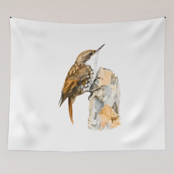 Item preview, White-throated Treerunner (Pygarrhichas albogularis) designed and sold by HOMETOWN86.