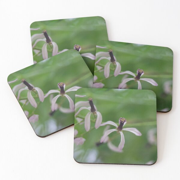 Item preview, Melia azedarach tree designed and sold by ROSE ANN BANILAR.
