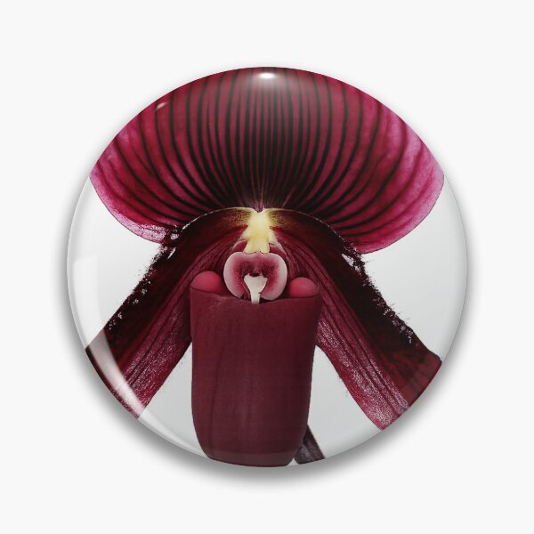 Artikelvorschau, Slipper-Orchidee Paphiopedilum vini color entworfen und verkauft von Henkjv.