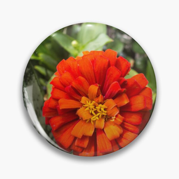 Item preview, Zinnia designed and sold by ROSE ANN BANILAR.